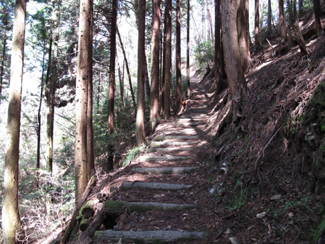 20140419hike (77)